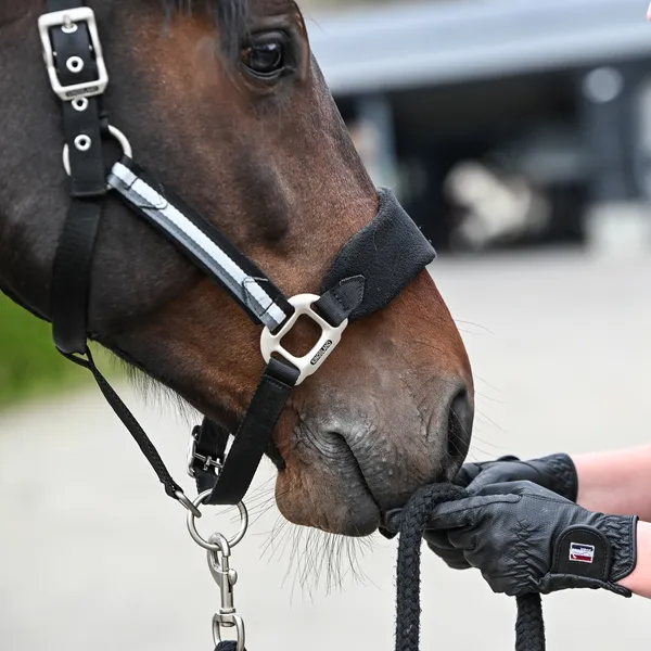 Kingsland Classic ridehandsker sort syntetisk læder
