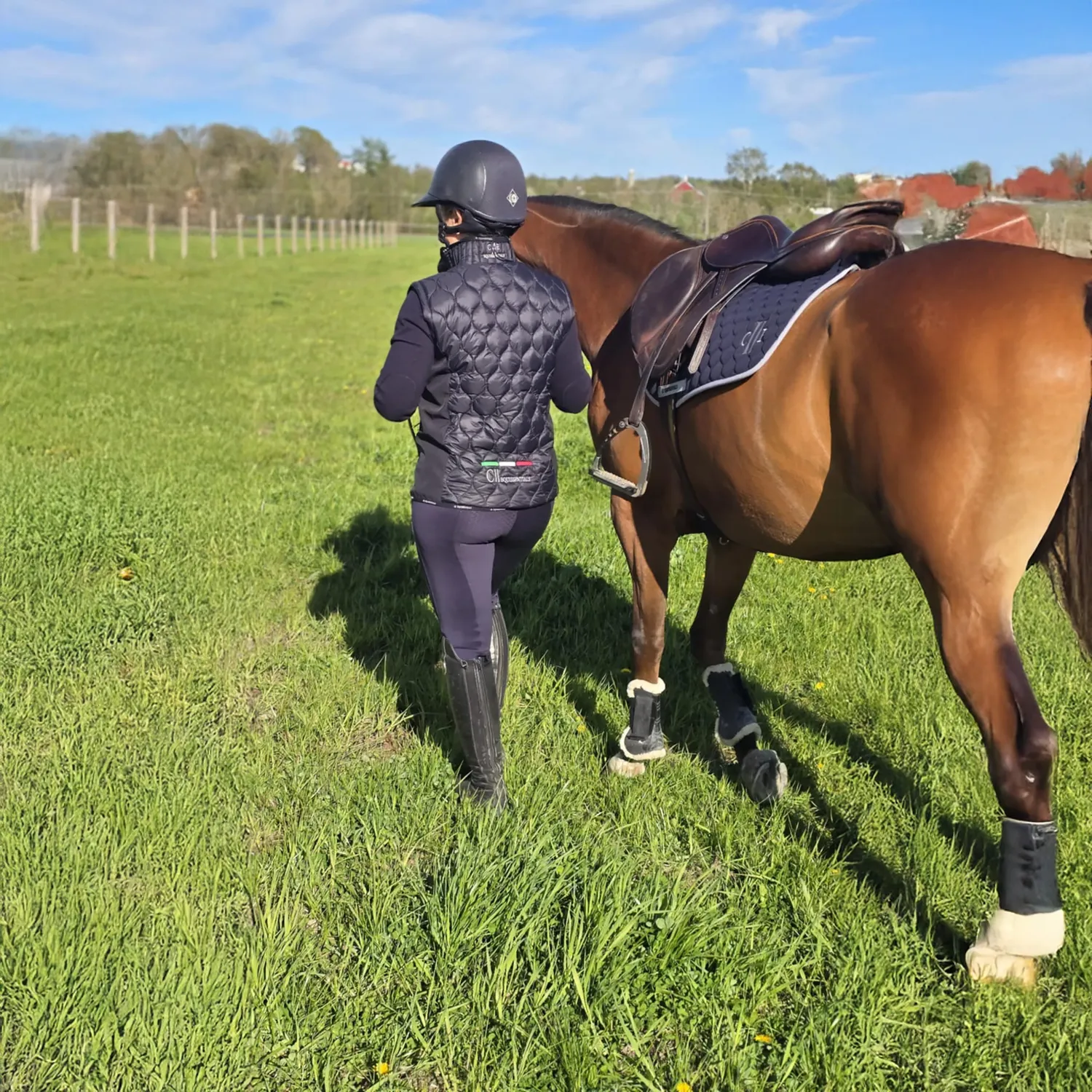 C2E Equestrain Fresno ridebukser navy fullgrip