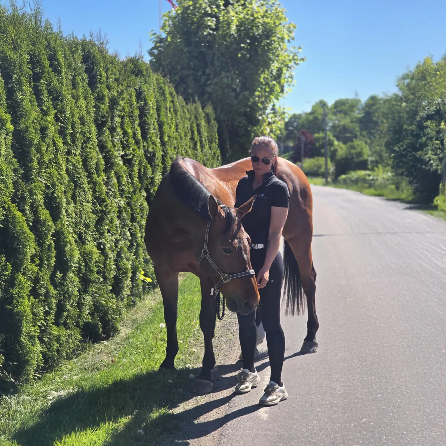 C2E Equestrain Fresno ridebukser sort knægrip