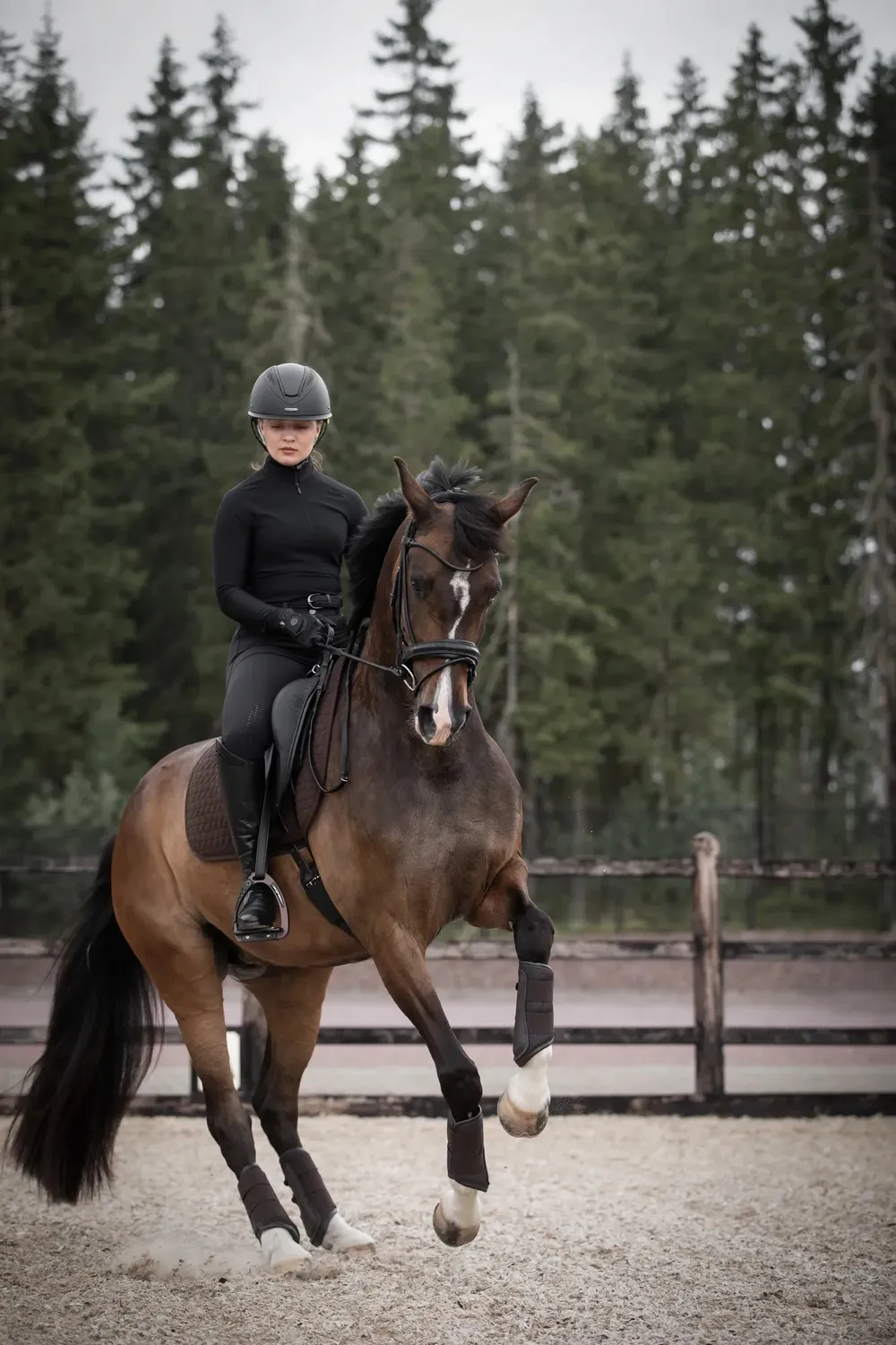 Källquist Lippo Supreme Quinsy trense sort cob