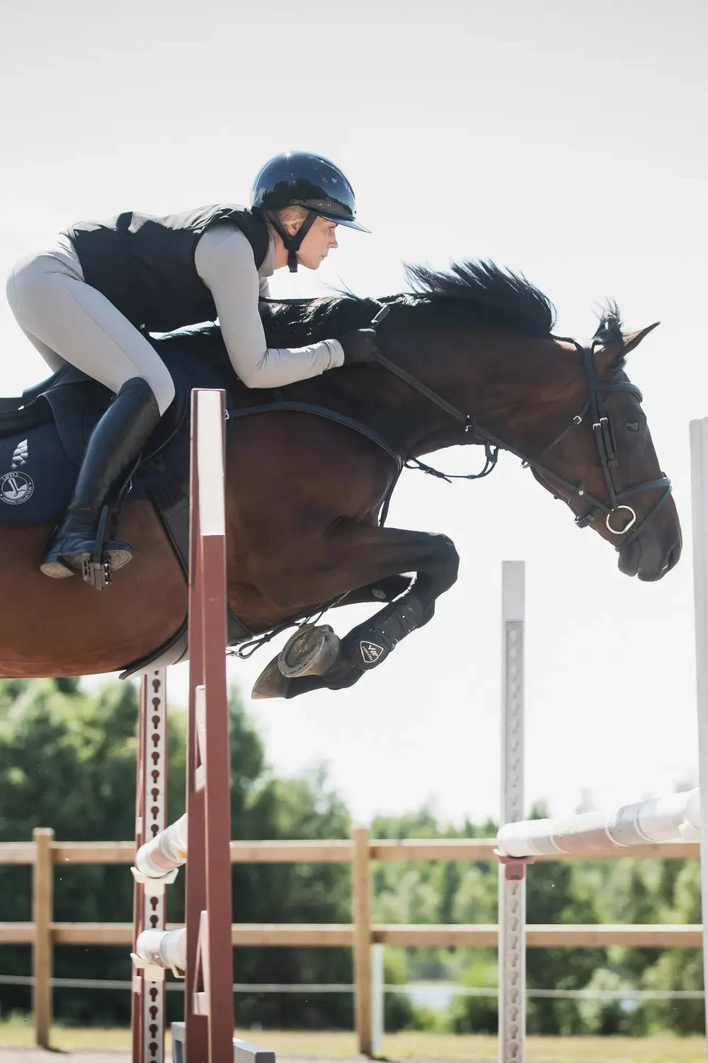 Källquist Samira Soft Tex ridebukser sort dam 38 medium-grip