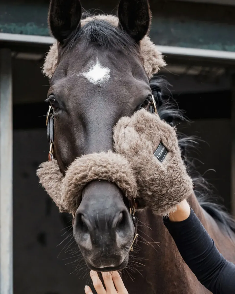 L'Evoine Alpaca Care plejehandske alpaka allergivenlig
