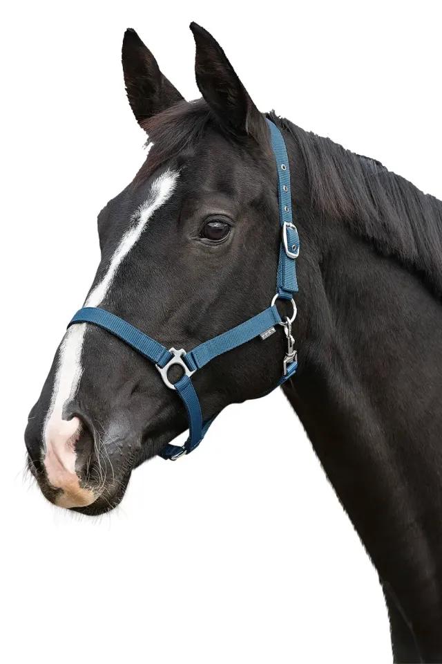 Källquist Equestrian nylongrime uforet sort full