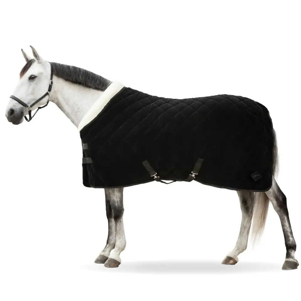 Källquist Lippo Showrug Black Velvet 150g 135cm