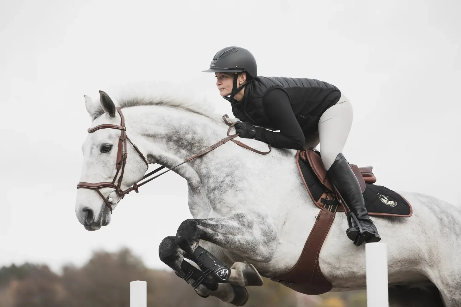 Källquist Lippo Eccelente springgjord cognac 130 cm