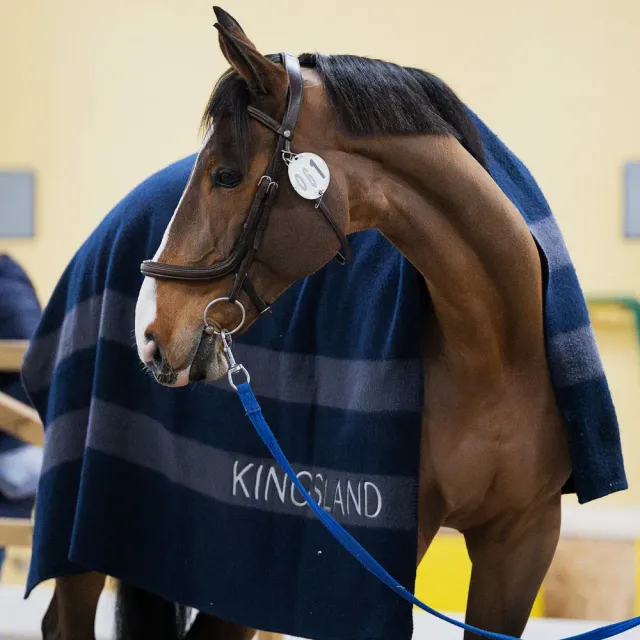 Kingsland Classic uldtæppe navy 190x200 varm