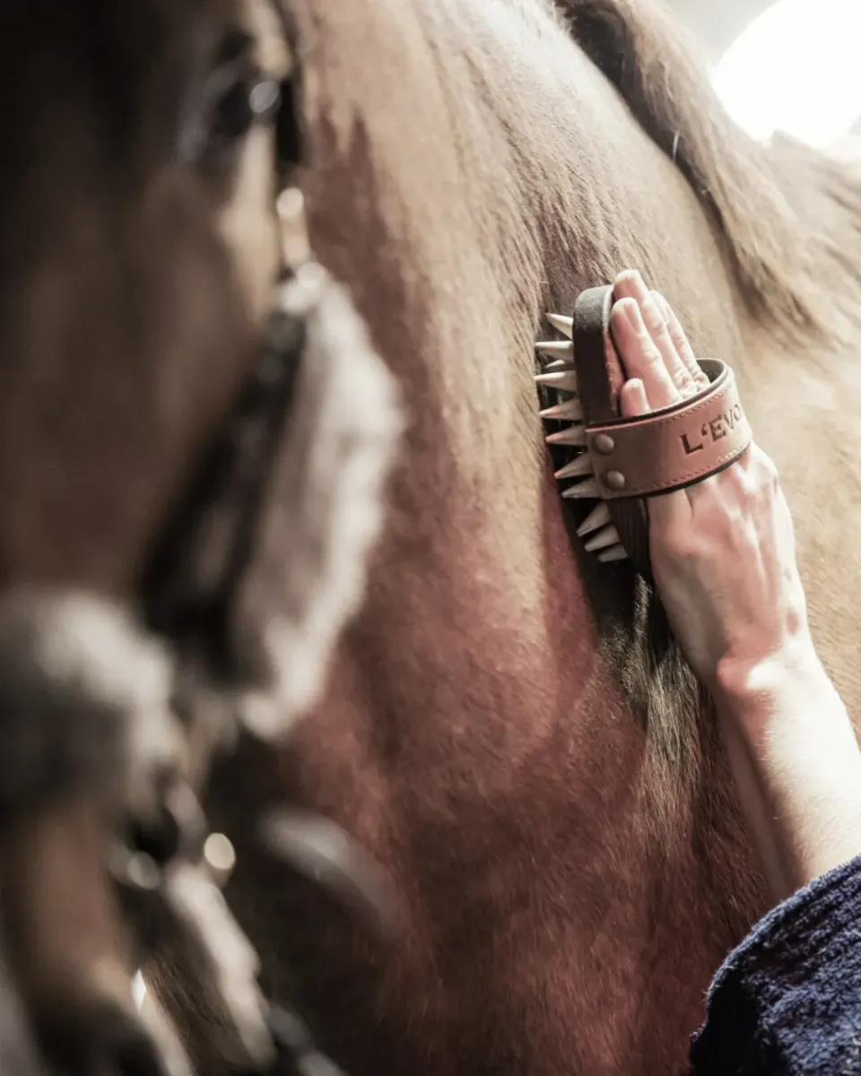 L'Evoine Massage Fascien børstesæt cognac hest