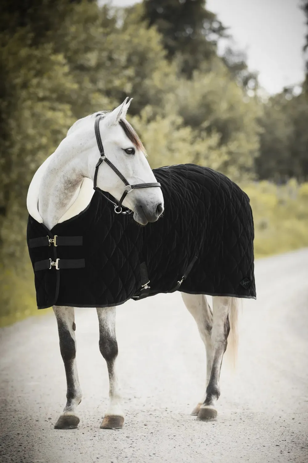 Källquist Lippo Showrug Black Velvet 150g 135cm