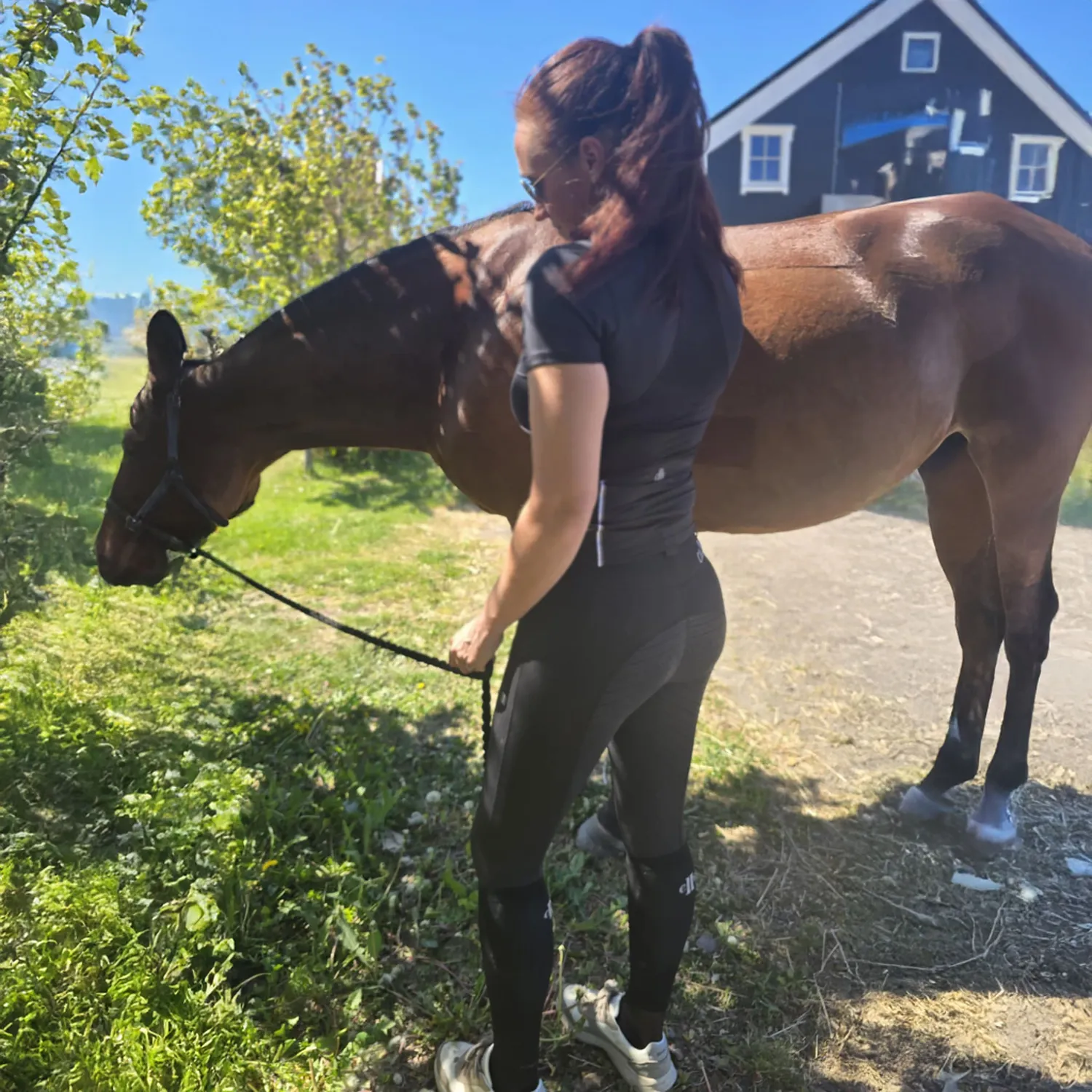 C2E Equestrain Bakersfield stævneskjorte sort dame