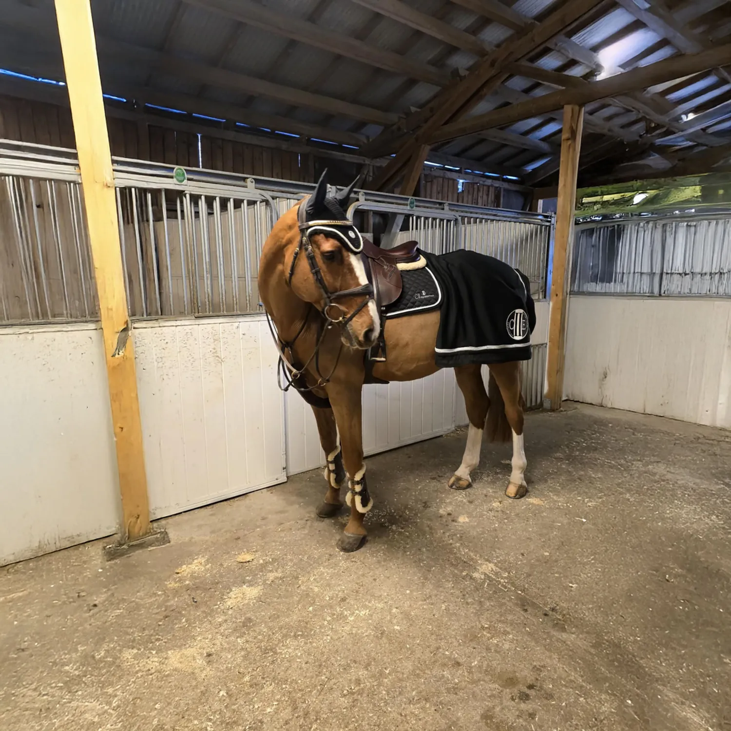 C2E Sorrento Springunderlag jumping sort
