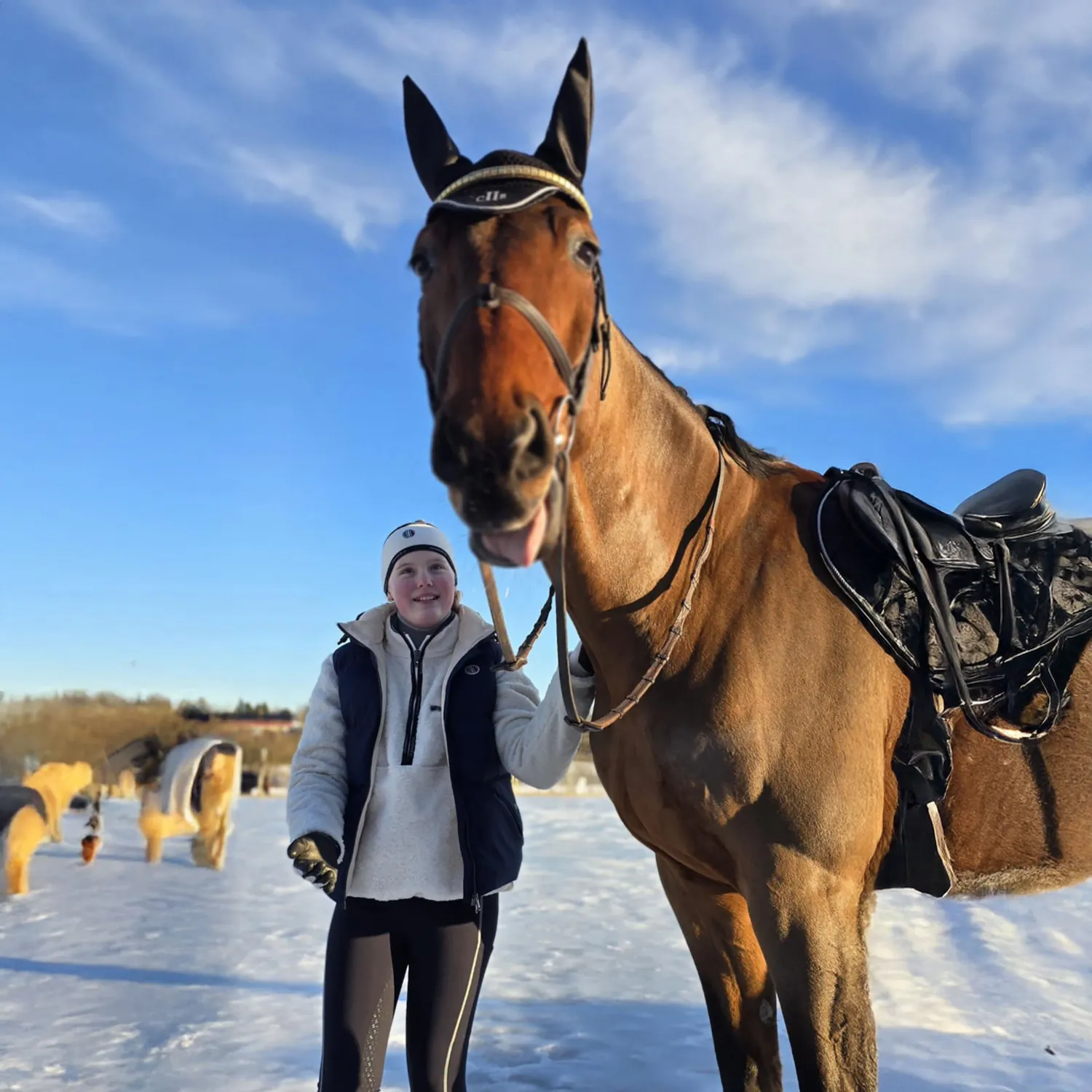 C2E Equestrain Encinitas fleece pandebånd hvid justerbar