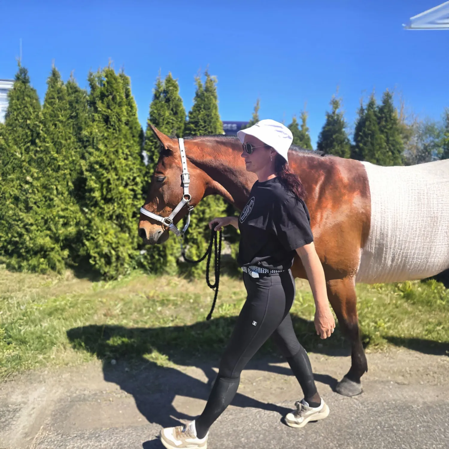 C2E Equestrain Fresno ridebukser sort knægrip