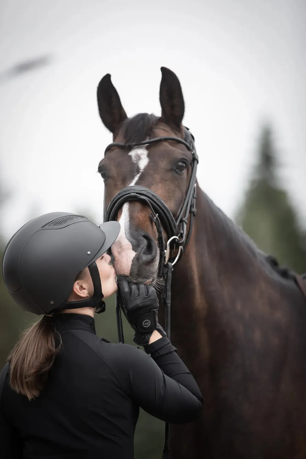 Källquist Lippo Supreme Quinsy trense sort cob