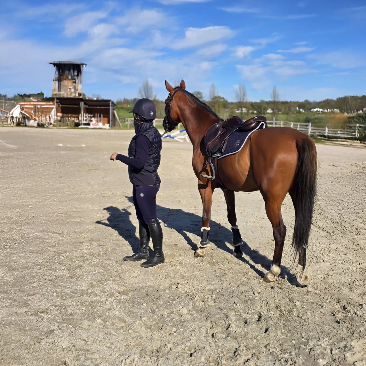 C2E Equestrain Fresno ridebukser navy fullgrip
