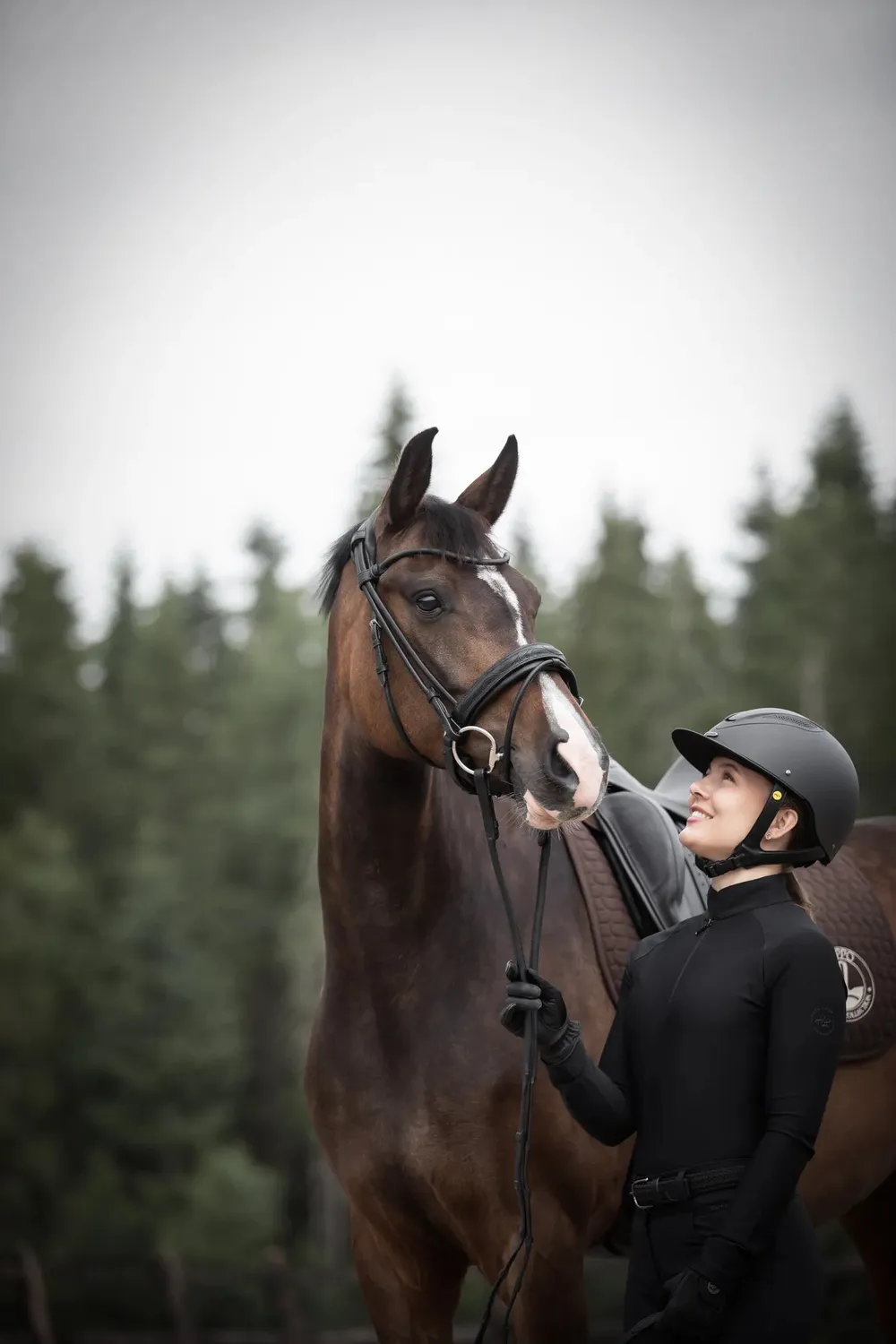 Källquist Lippo Supreme Quinsy trense sort cob
