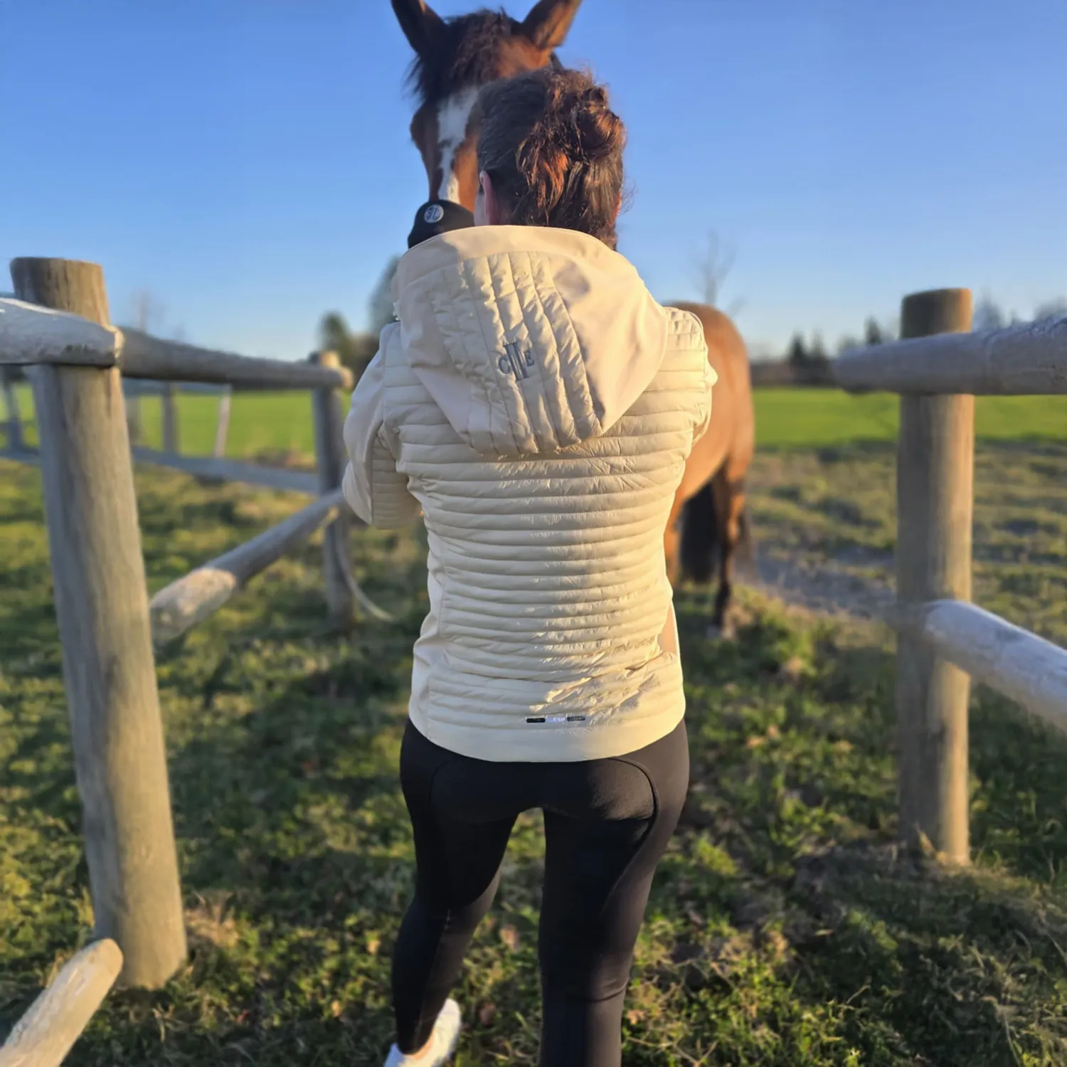 C2E Equestrain Fresno ridebukser sort knægrip