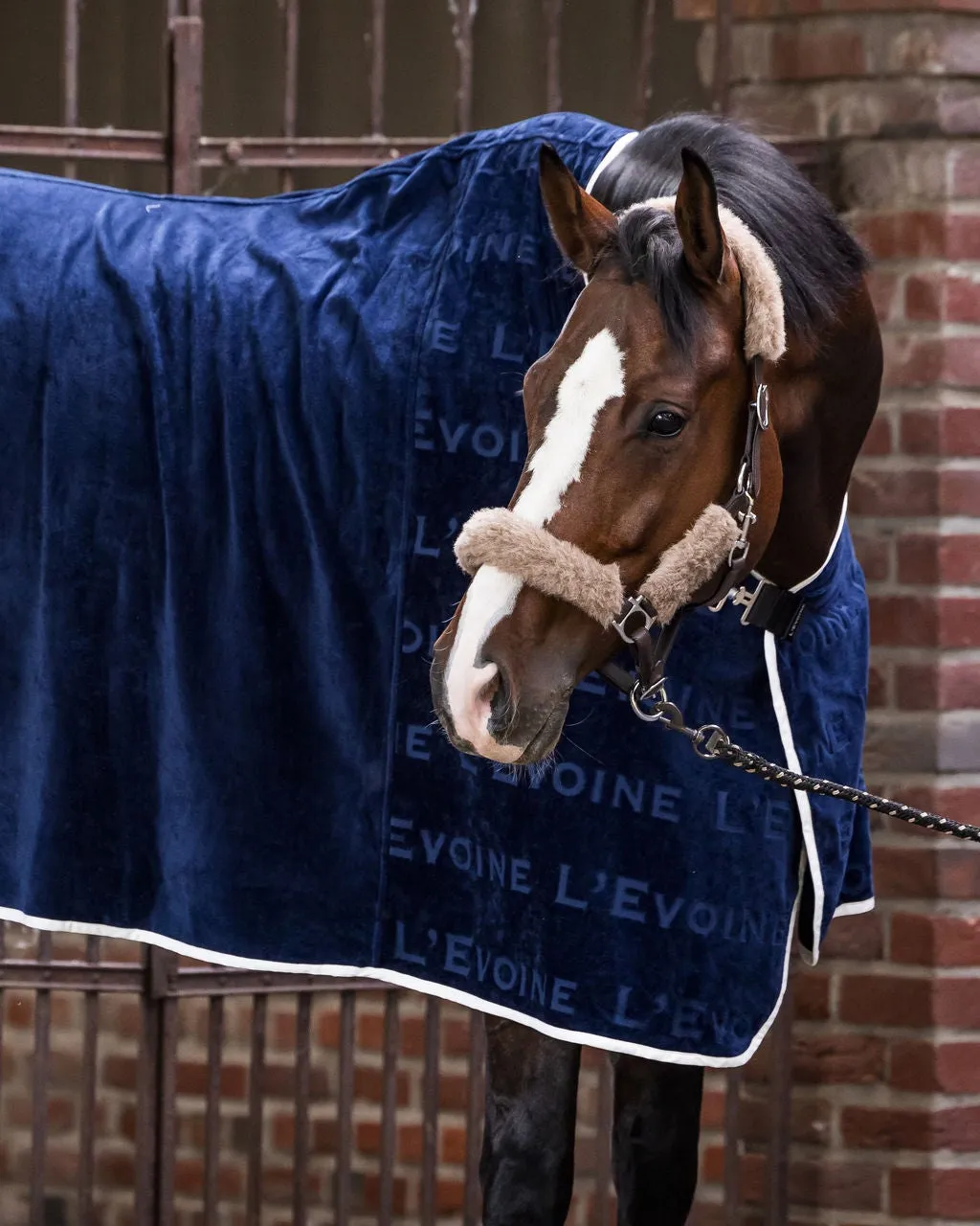 L'Evoine sveddækken bomuld midnight 140/145