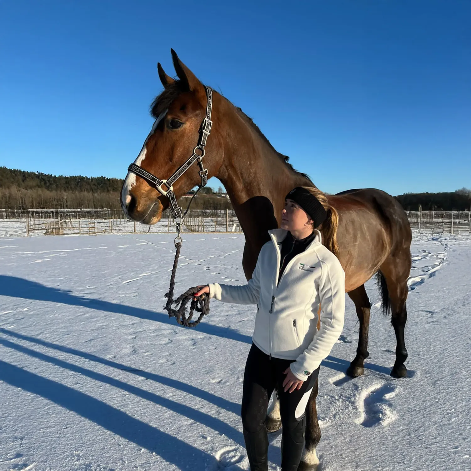 C2E Equestrain Tustin pandebånd sort merinould