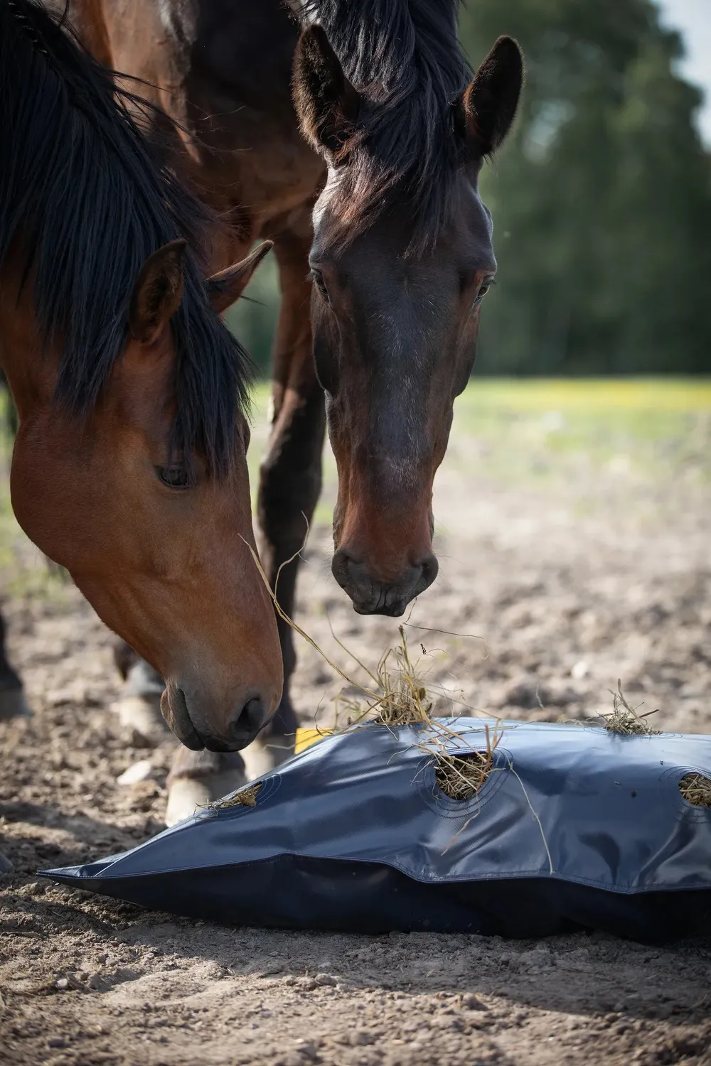 Källquist Protector HayFlow høpose marin 100x80 cm