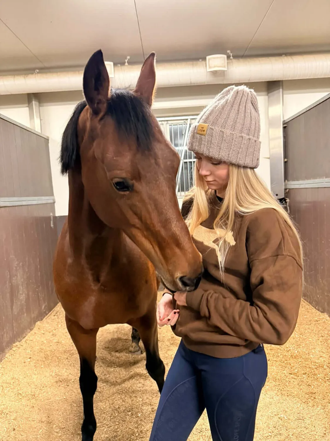 LOPE Horse Crew sweatshirt brun oversized chenillehest
