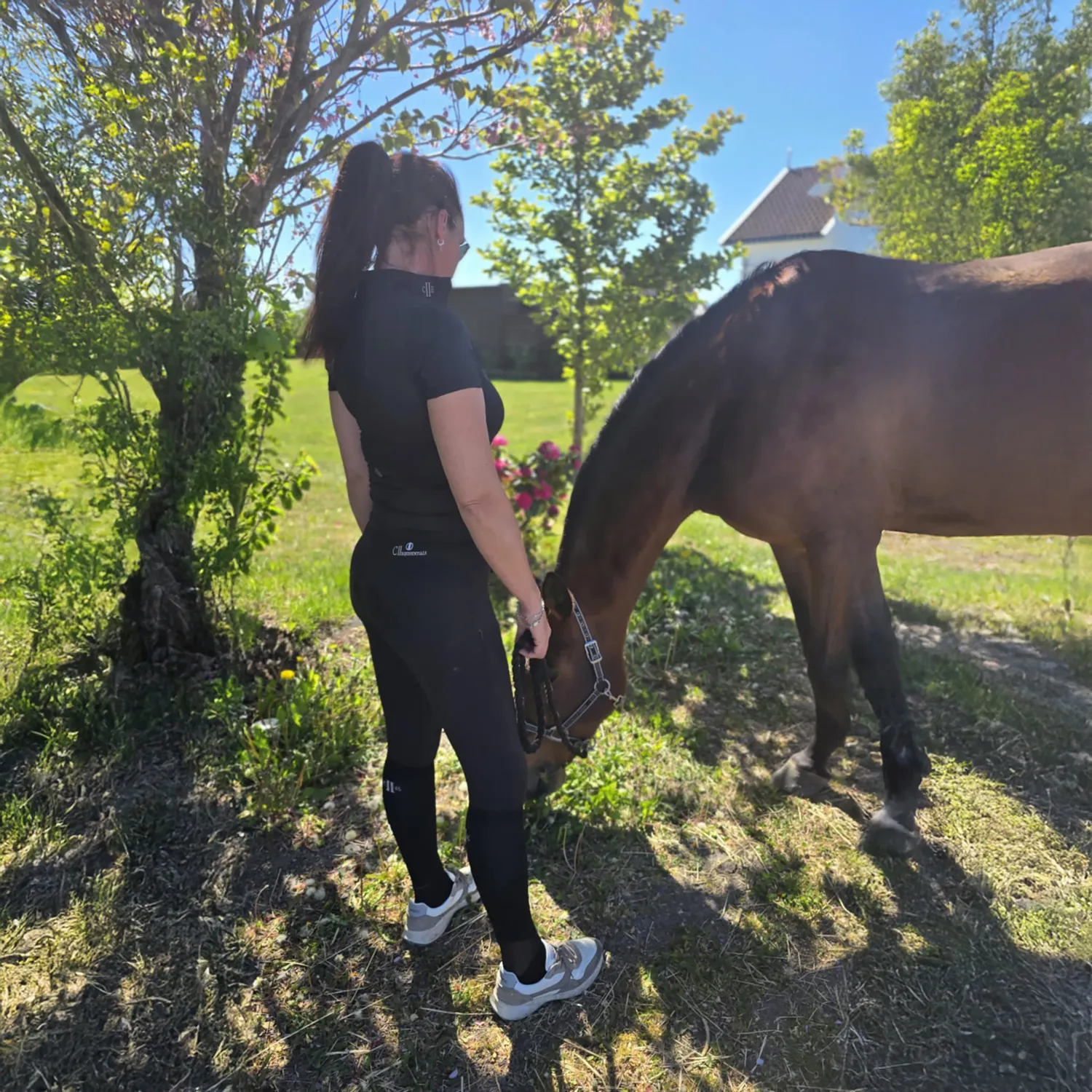 C2E Equestrain Bakersfield stævneskjorte sort dame