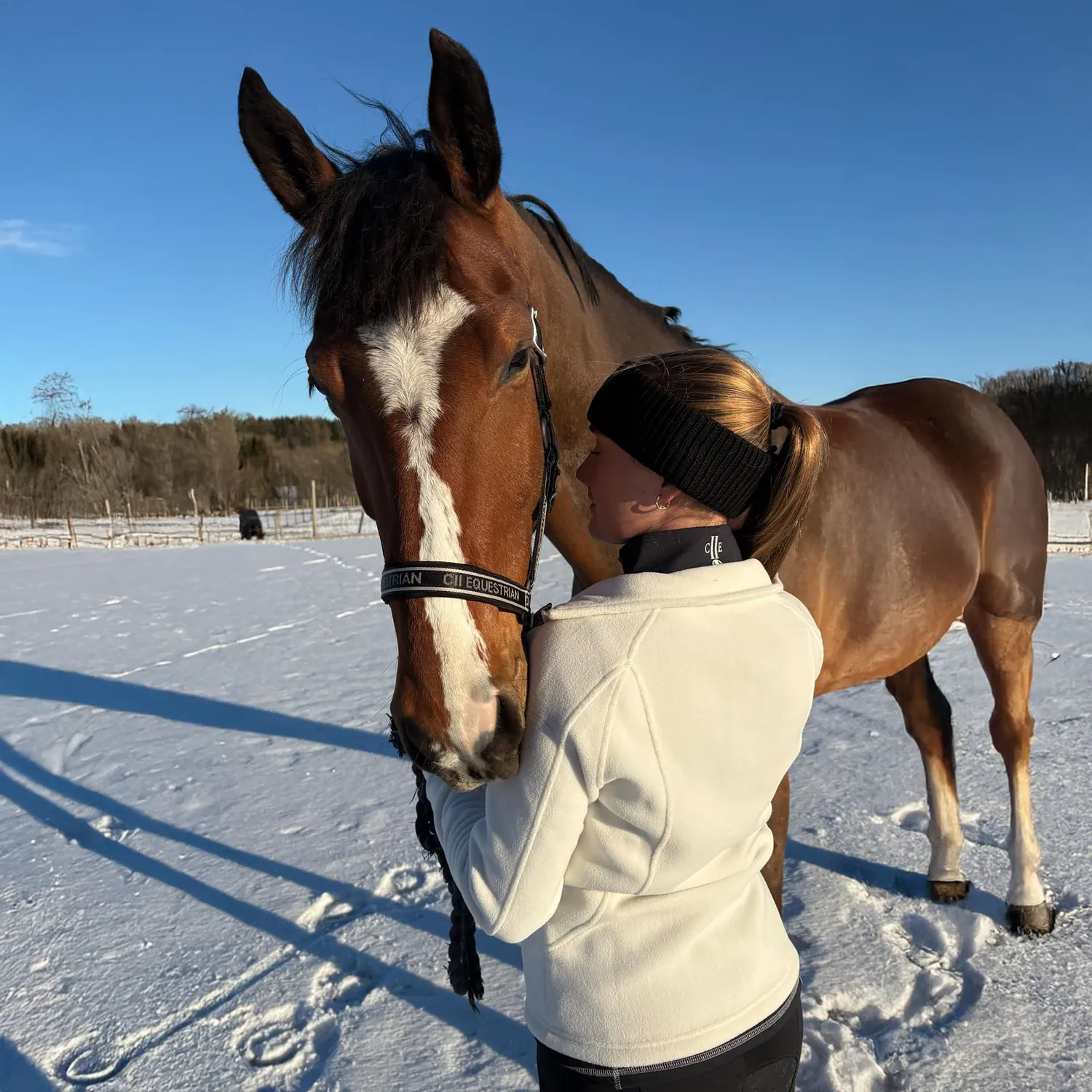 C2E Equestrain Tustin pandebånd sort merinould